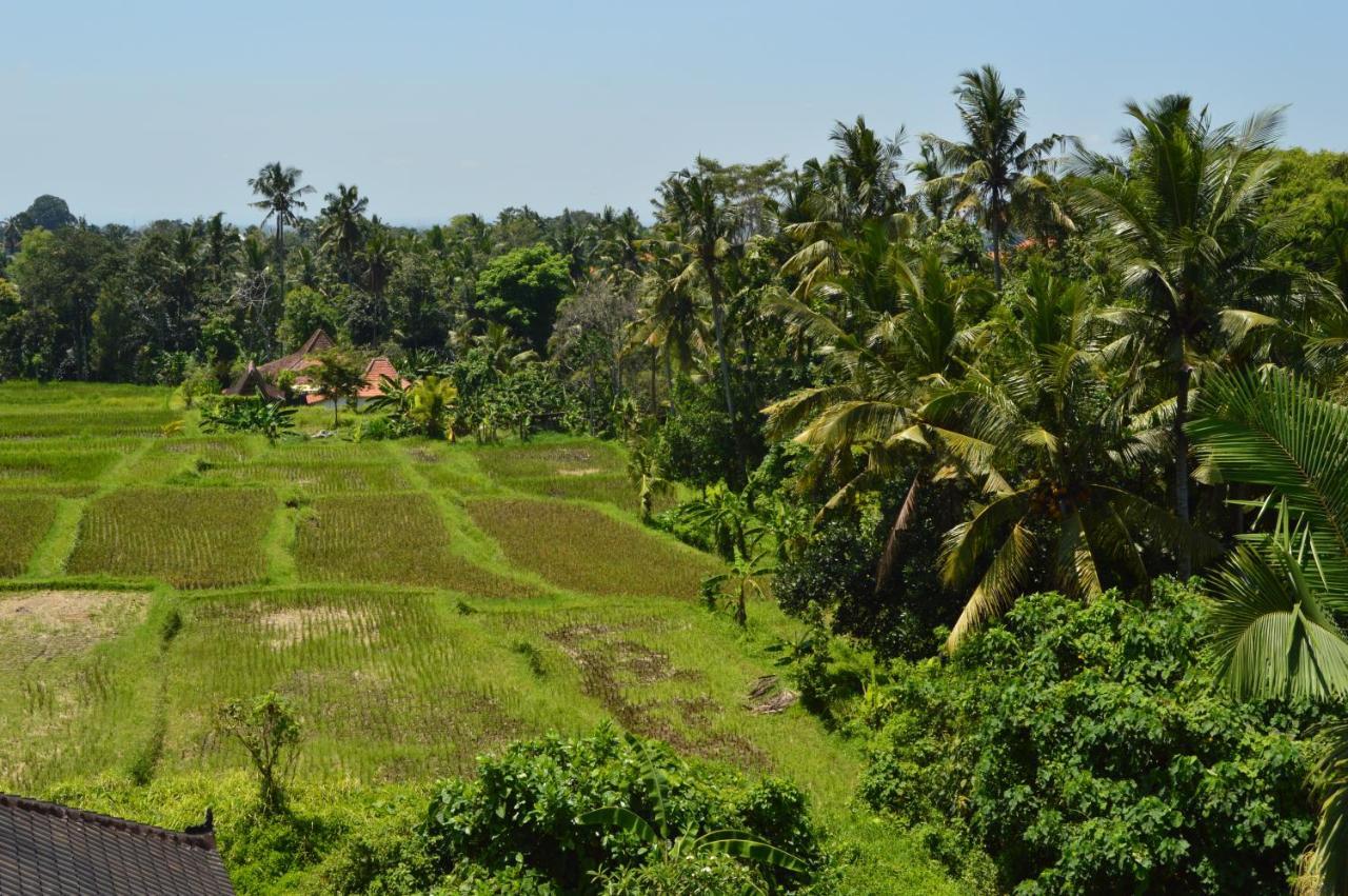 Askara & Inn